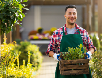 Où trouver une bonne entreprise de jardinage ?